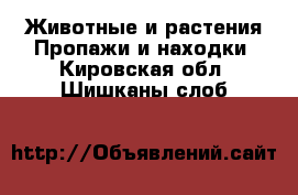 Животные и растения Пропажи и находки. Кировская обл.,Шишканы слоб.